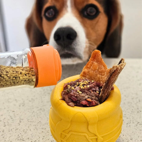 Može li Pčelinja Pelud Koristiti i Psima?