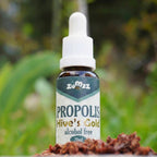 Alcohol-free propolis drops