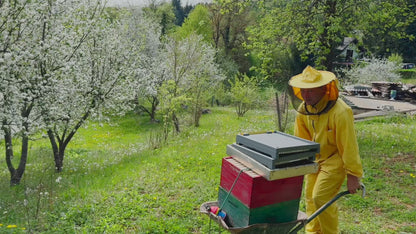 Immunitätsmix - Propolis, Pollen und Honig